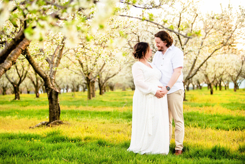 husband cradling wife's pregnant belly while looking at each other wearing white in the white cherry blossom farm for their outdoor maternity photographer session in Burlington, Ontario.