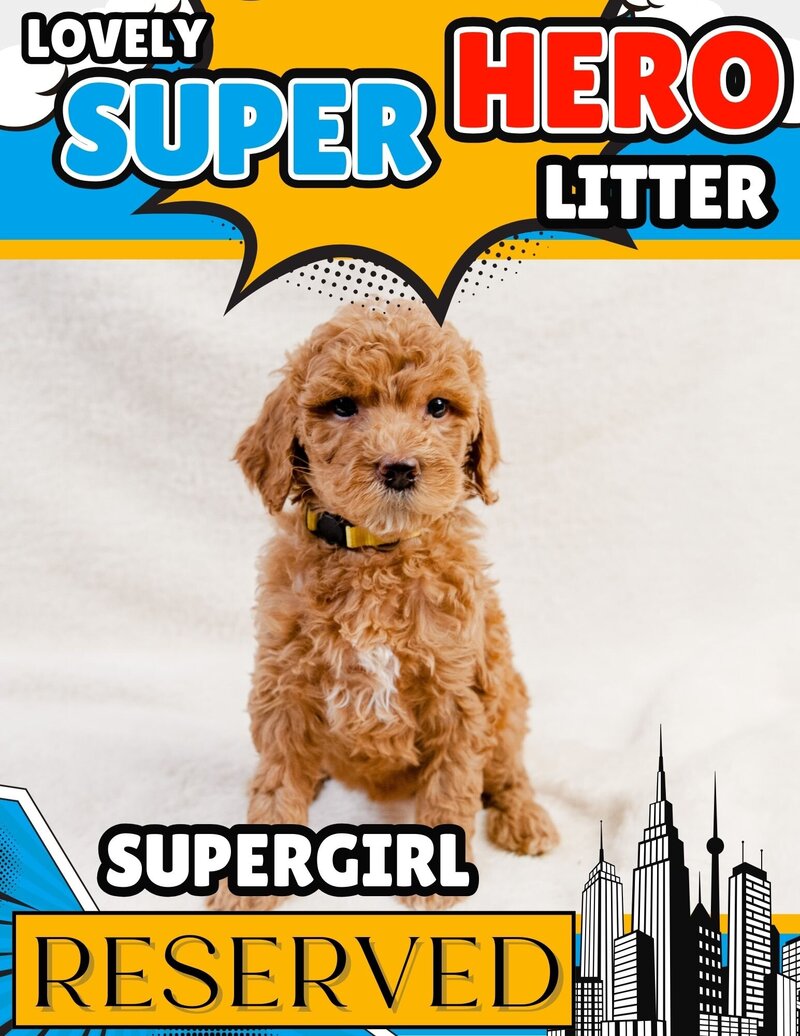Hero - Yellow Supergirl Female