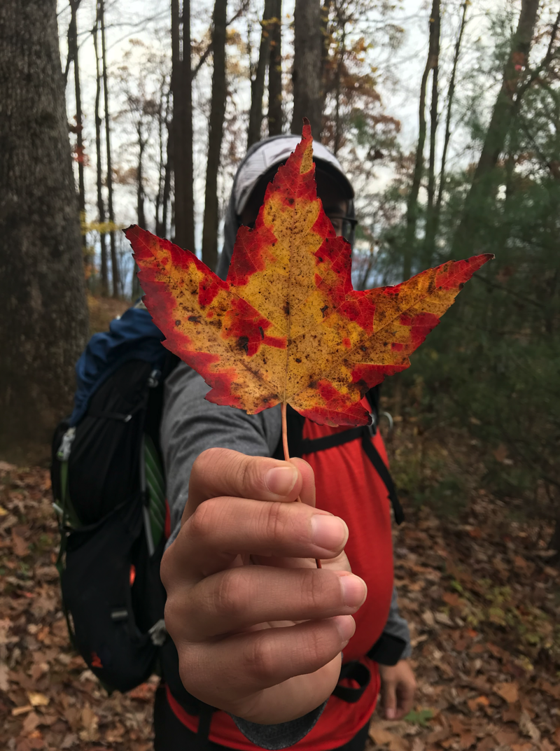 Screenshot 2024-11-12 at 4.03.44 PM