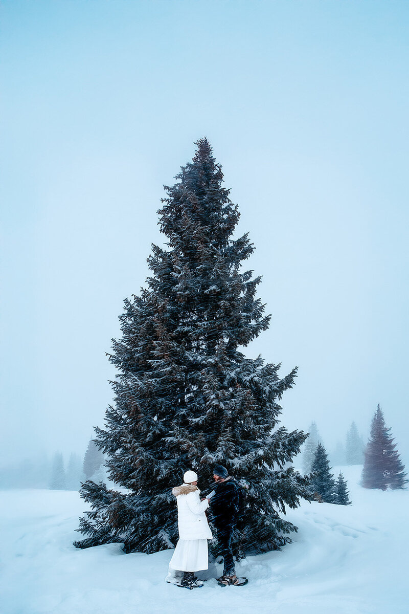 No need for a Christmas tree!  Winter eloping has all the magic you need.