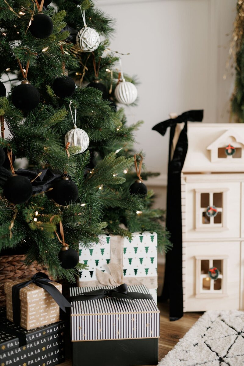 boston-holiday-minis-ana-pavesi24