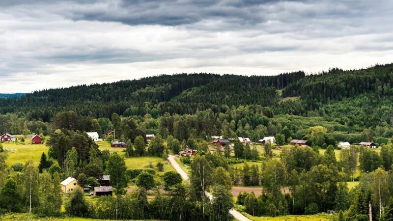 sverige-bild-skog-samhälle-sveaskog
