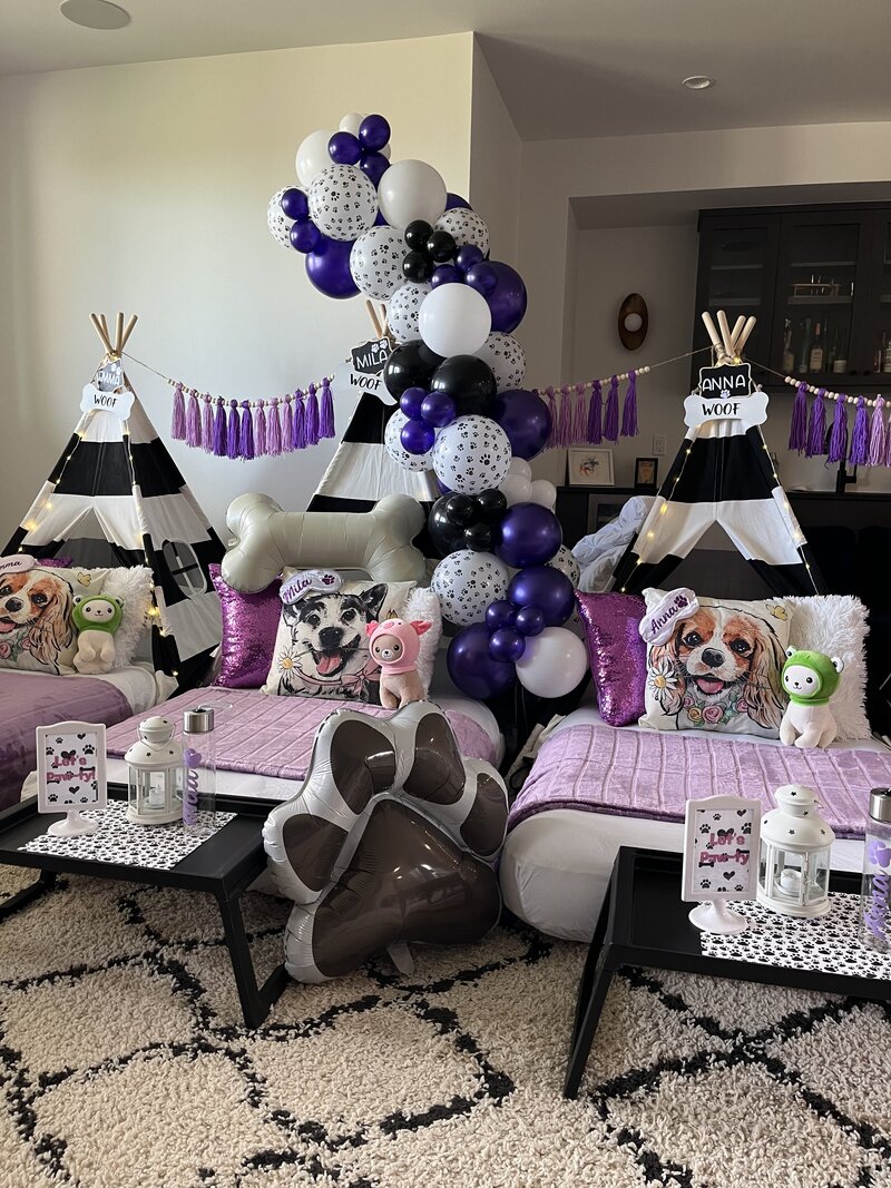 birthday-party-rentals-denver-2