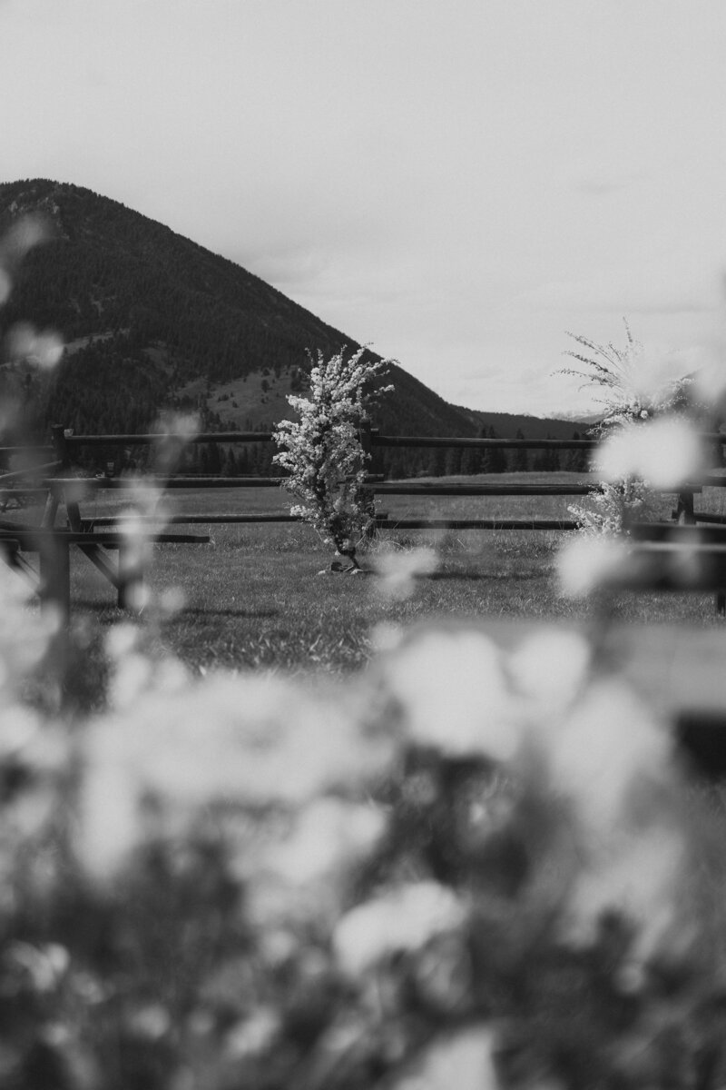 Montana wedding photographer
