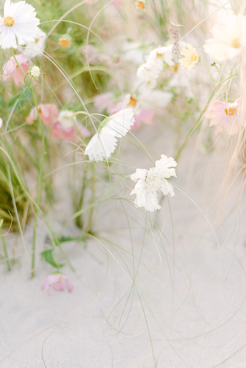 beachwebsite-07