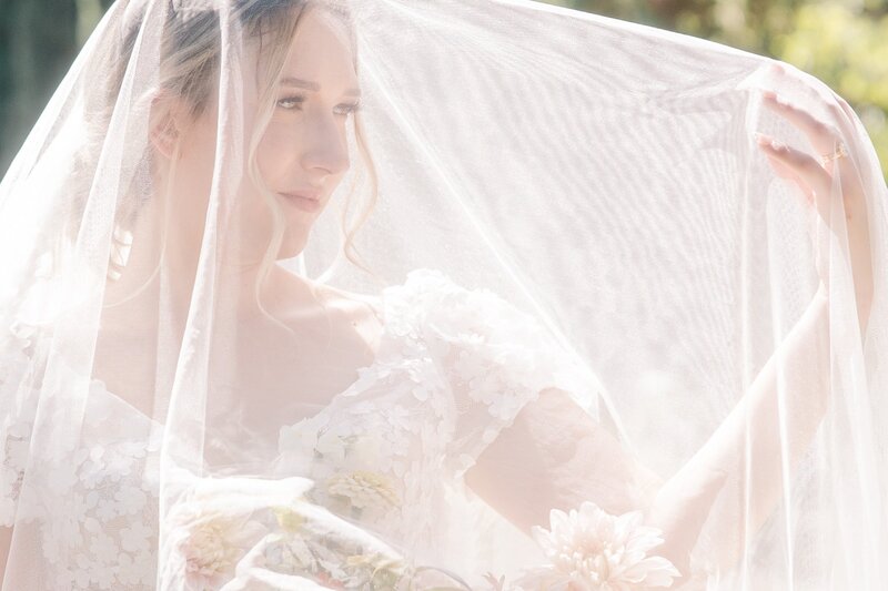 Floral close up