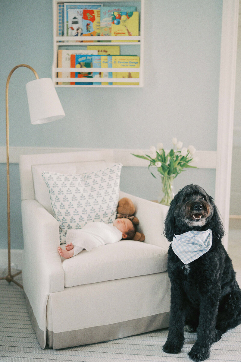 dog sitting next to chair where baby is laying