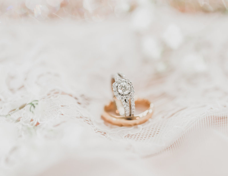 Ashley-Brunell-Photography-home-background