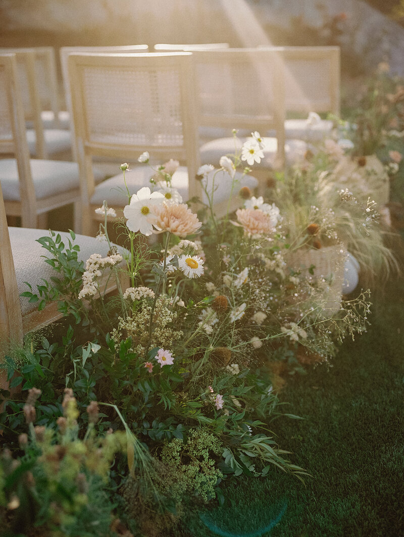 MonserateWinery-film-31