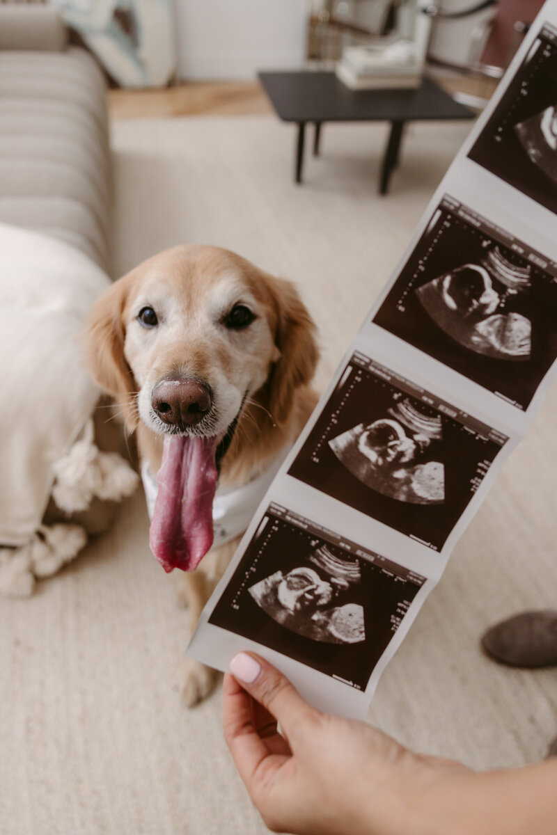 Nivi,Rishi,Riley_Maternity_DanicaOlivaPhotos_69