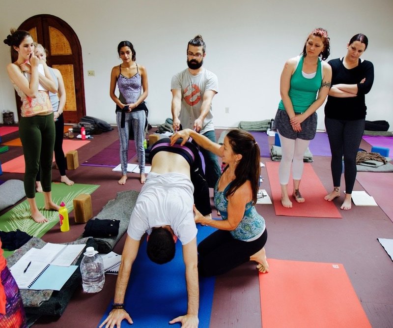 Yoga teacher trainers learn how to adjust downward dog pose