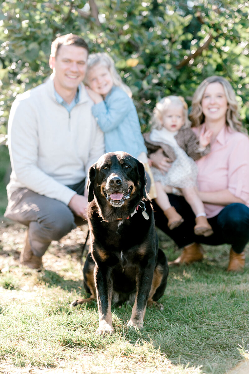 Traverse City Family Photographers Northern Michigan Family Portraits-65