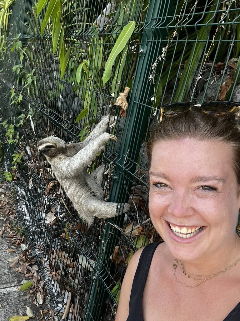 E1C78303-4E72-42F4-8C33-1F03939D7288_1_105_c