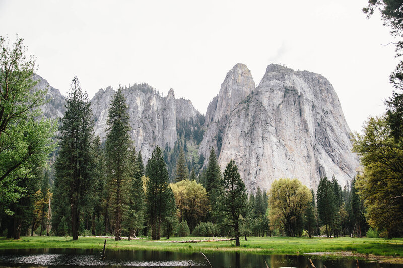 Best Ceremony Locations in Yosemite National Park