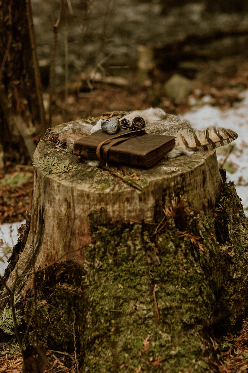 leather journal, feather on tree stump