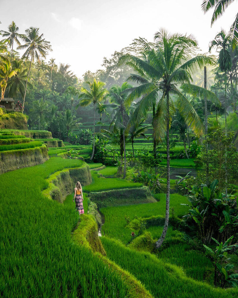 Adventurous female solopreneur walks in Rice Terraces while traveling in Ubud, Bali