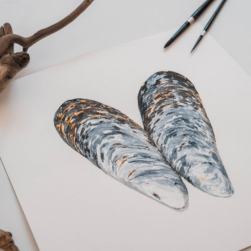 Detail of a watercolor painting of connected mussel shells by Amy Duffy