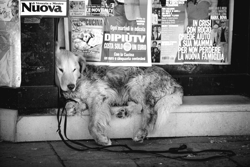 europe201bw