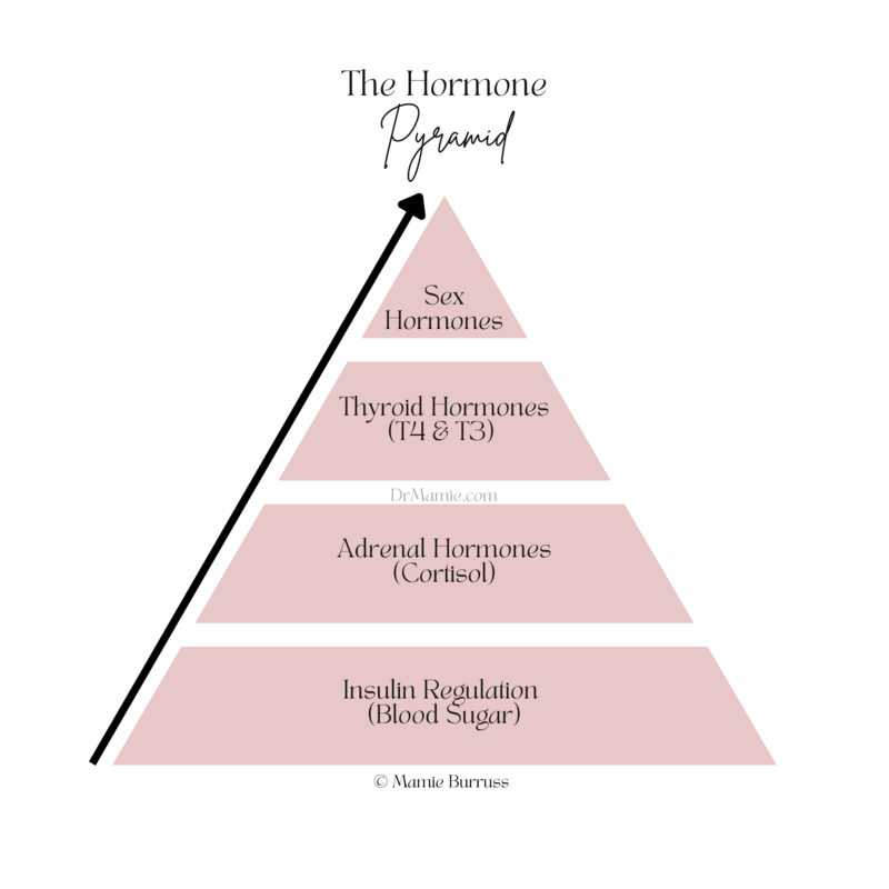 The Hormone Pyramid created by Dr. Mamie Burruss, ND, LAc that illustrates the hierarchy of hormones
