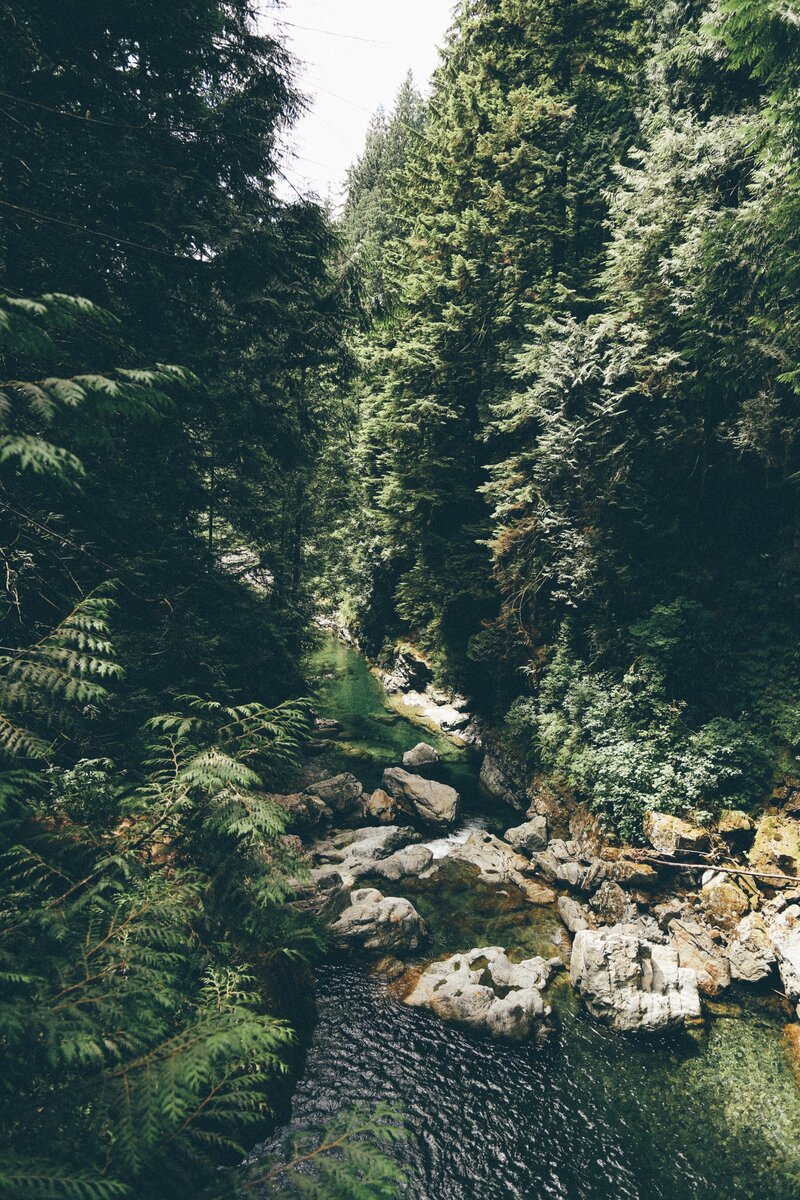 tanner-vines-wRRkRhzLCVU-unsplash