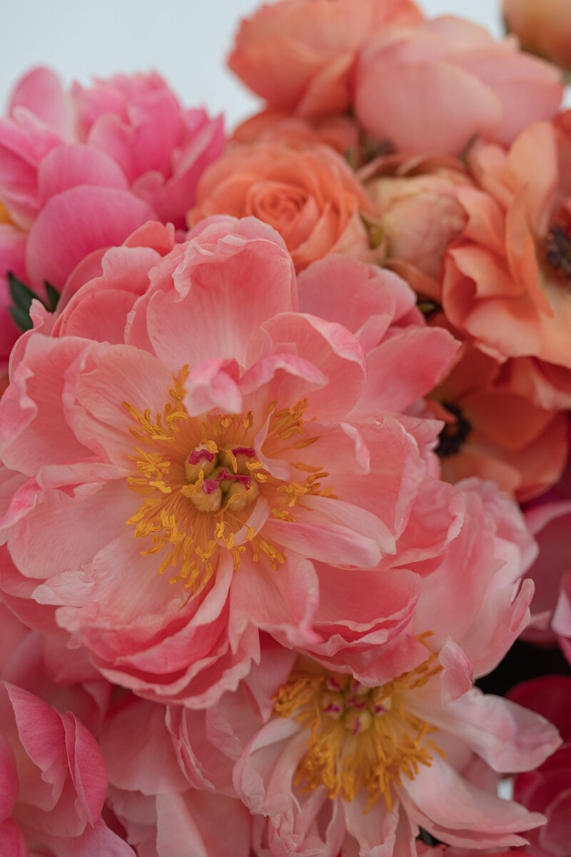 haute-stock-photography-subscrition-fashion-edit-collection-spring-blooms-final-16