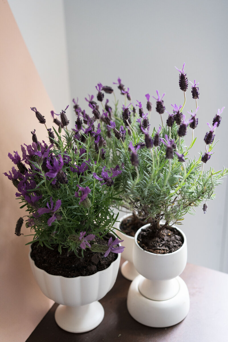Purple Wedding Flowers