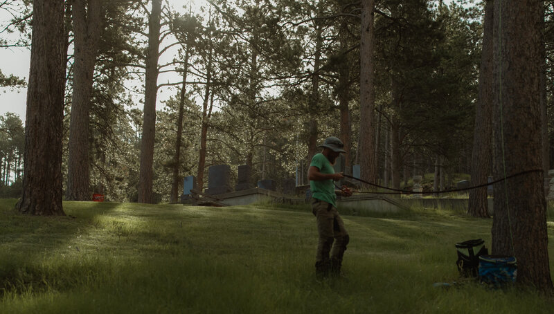 Professional stump grinding service by Tree Wise Men in Black Hills, South Dakota, removing old stumps and restoring landscape aesthetics.