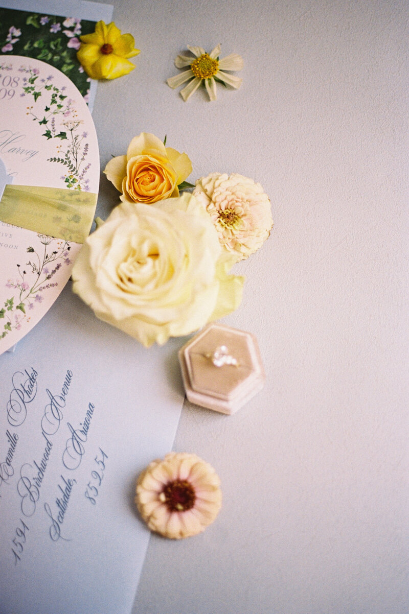 Luxury-Summer-Intimate-Wedding-Strong-Mansion-Frederick-County-Maryland-35mm-Film=2