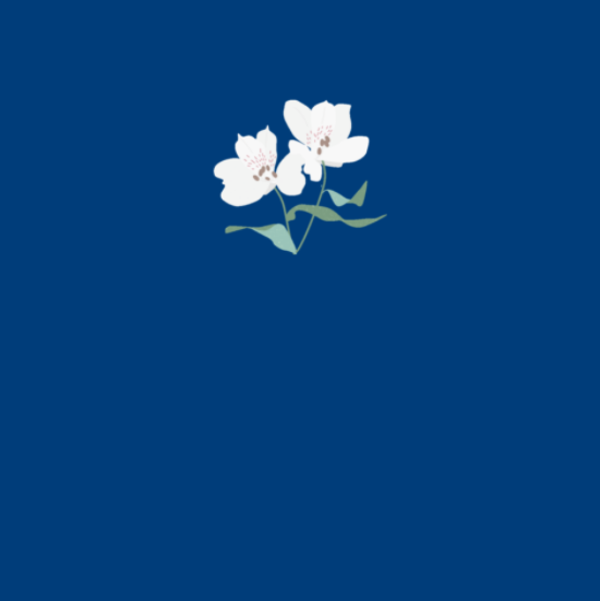 plain logo 2