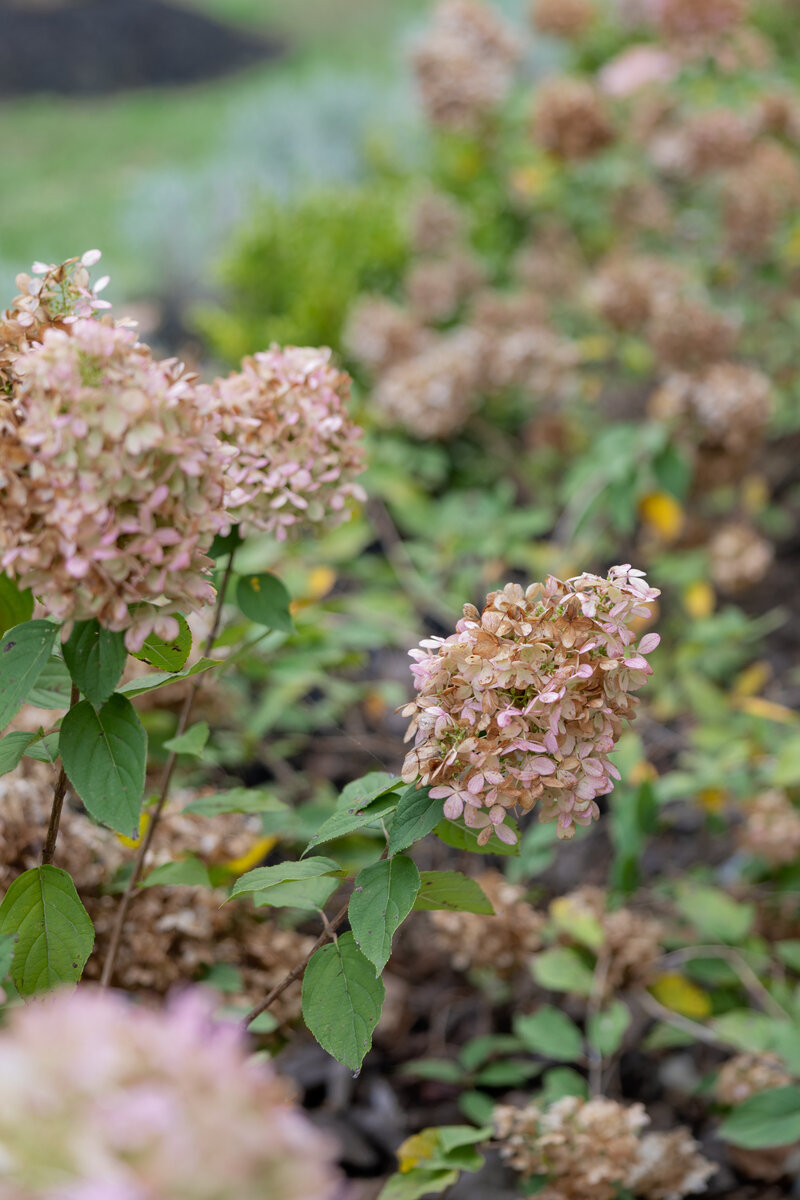 DarinaKPhotography-1630