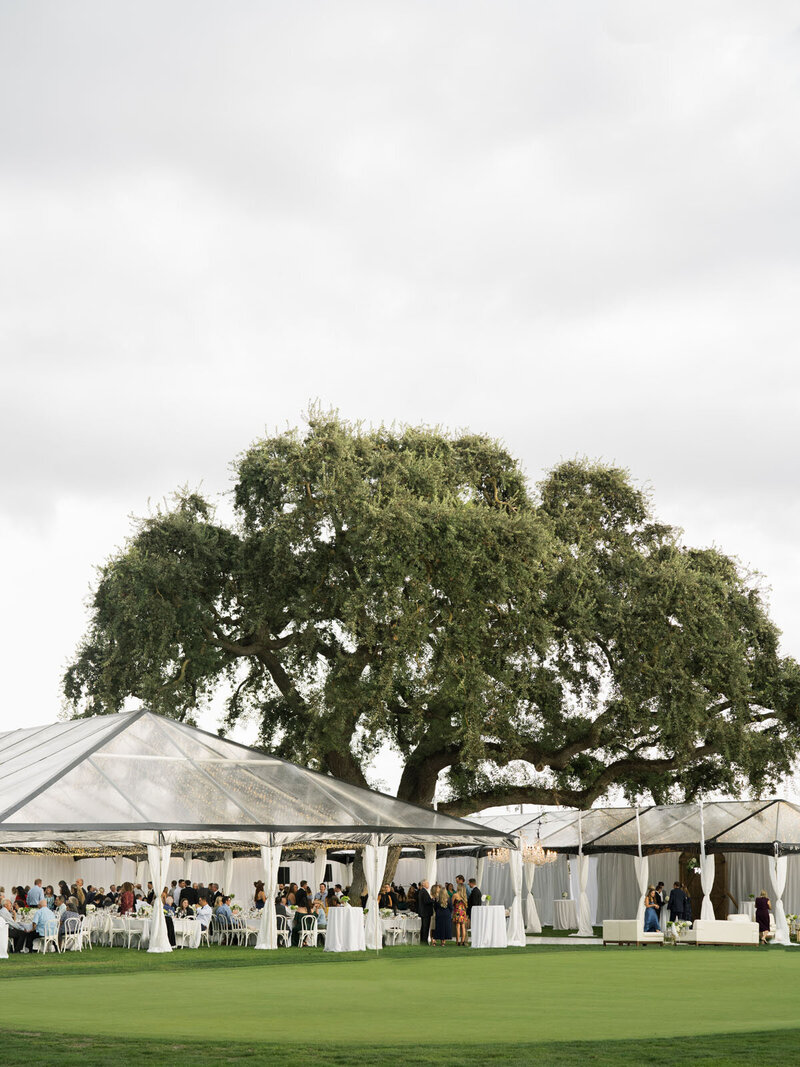 tent wedding in northern california