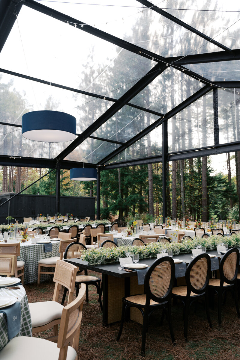 wedding guests cheers champagne glasses over table