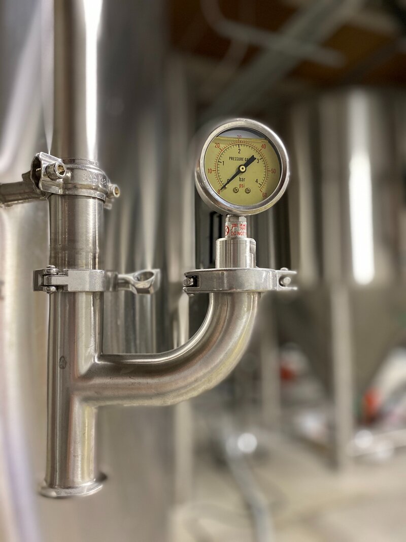 mina-wallis-arCQys3B3hA-unsplash