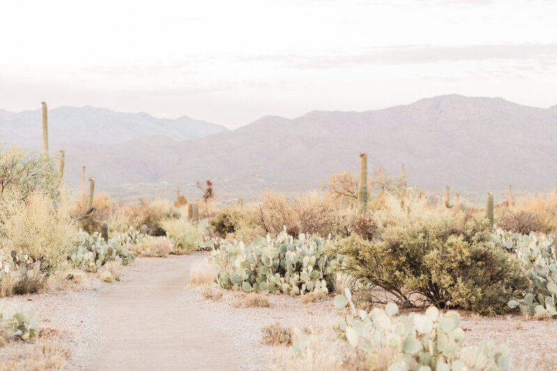 Grovewell - Demo 1 - 463