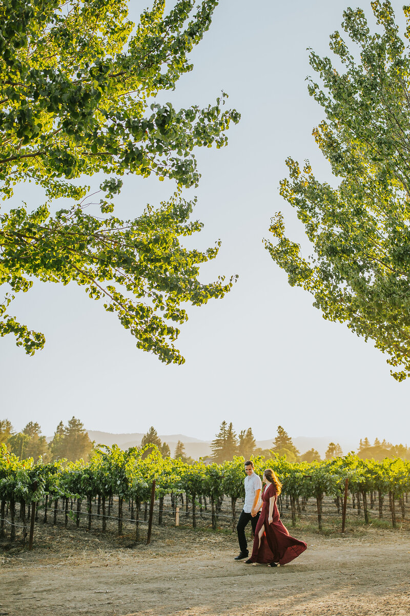 engagement-session-napa-valley-29