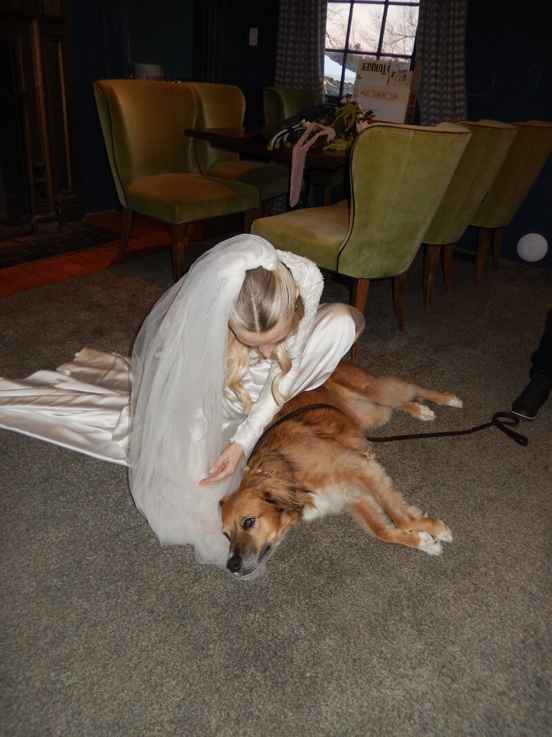 Nicole in her wedding dress, kneeling and embracing her dog at the venue.