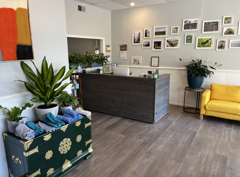A naturally lit welcome area, with bright colors, lush plants, and artistic design elements, at Thrive Chiropractic of Easley.