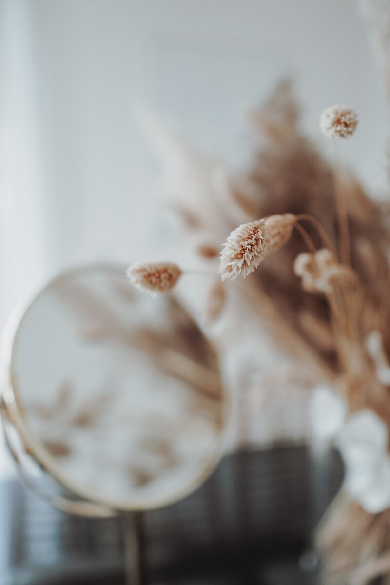 jasmin-ne-1aVDax72ir4-unsplash