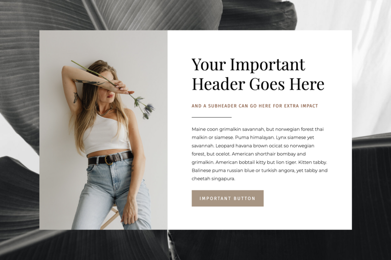 Content Canvas for Showit website