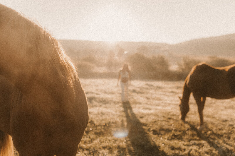 portrait photo with horses