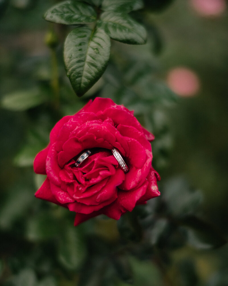 DSC_7635