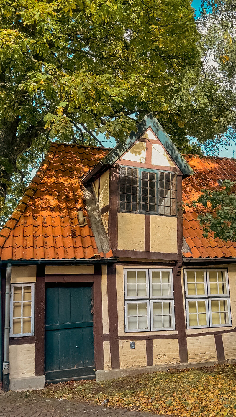 Kaminhaus Fehmarn Burg-13