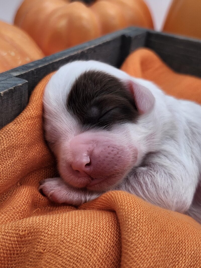 16e599b8-e5b1-46c1-bcf1-c923e4f00e01