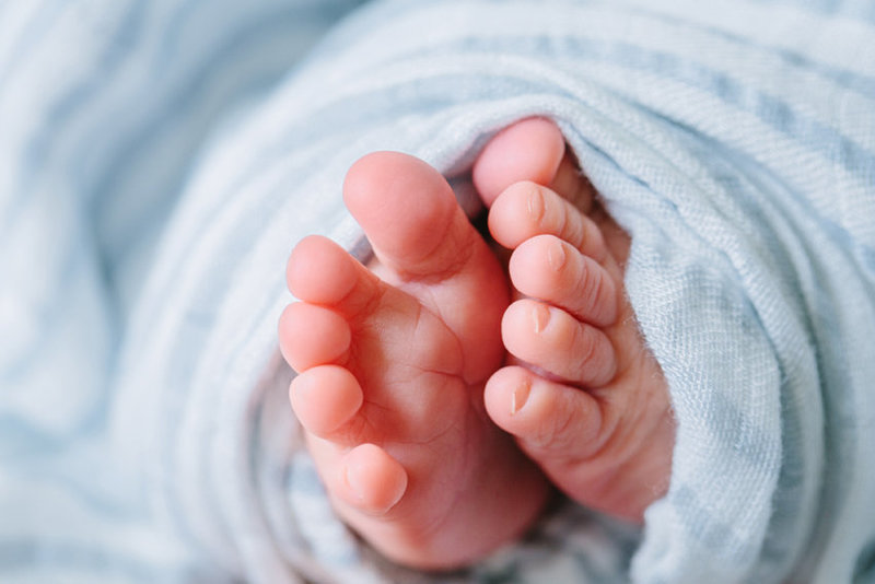 close up image of a newborn baby's toes