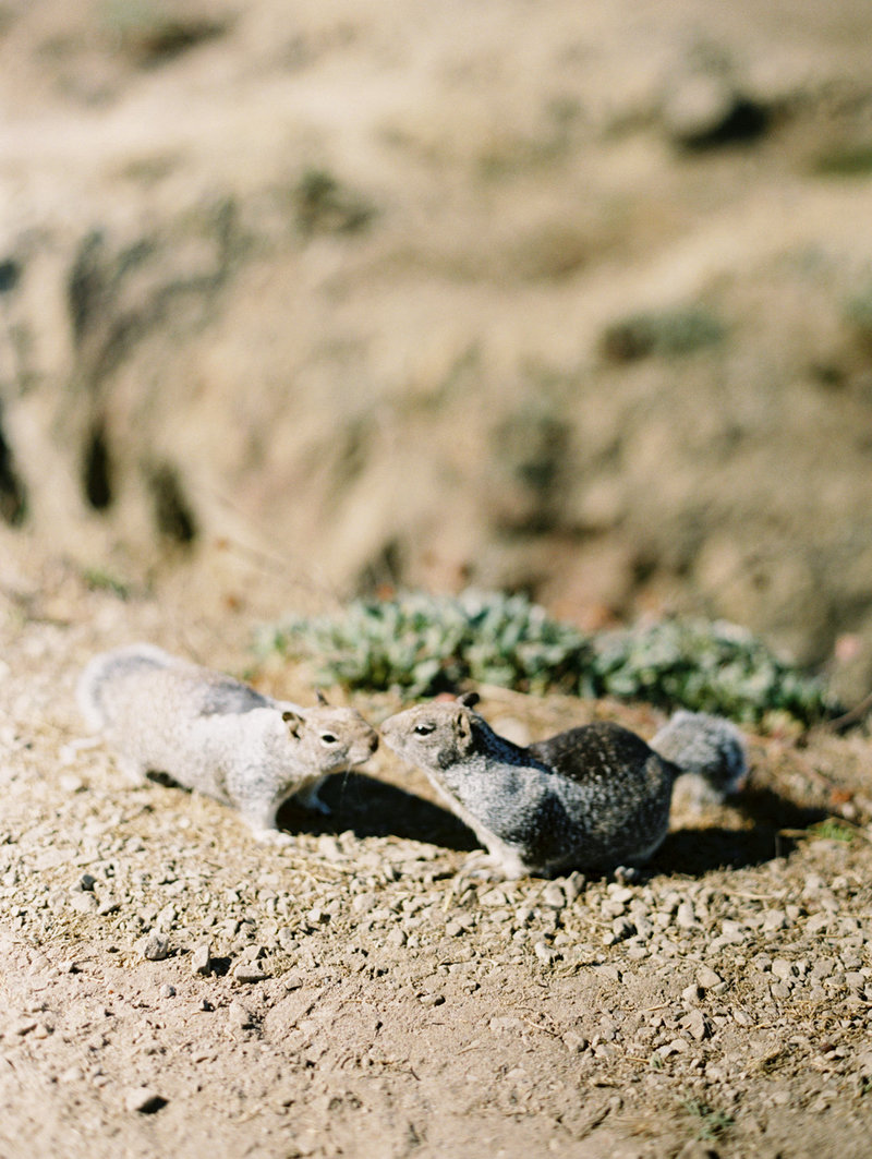 destination_california_mendocino_fine_art_wedding_photographer_bethany_erin-40