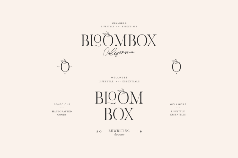 Emmygination_Studio_Portfolio-Bloombox_03