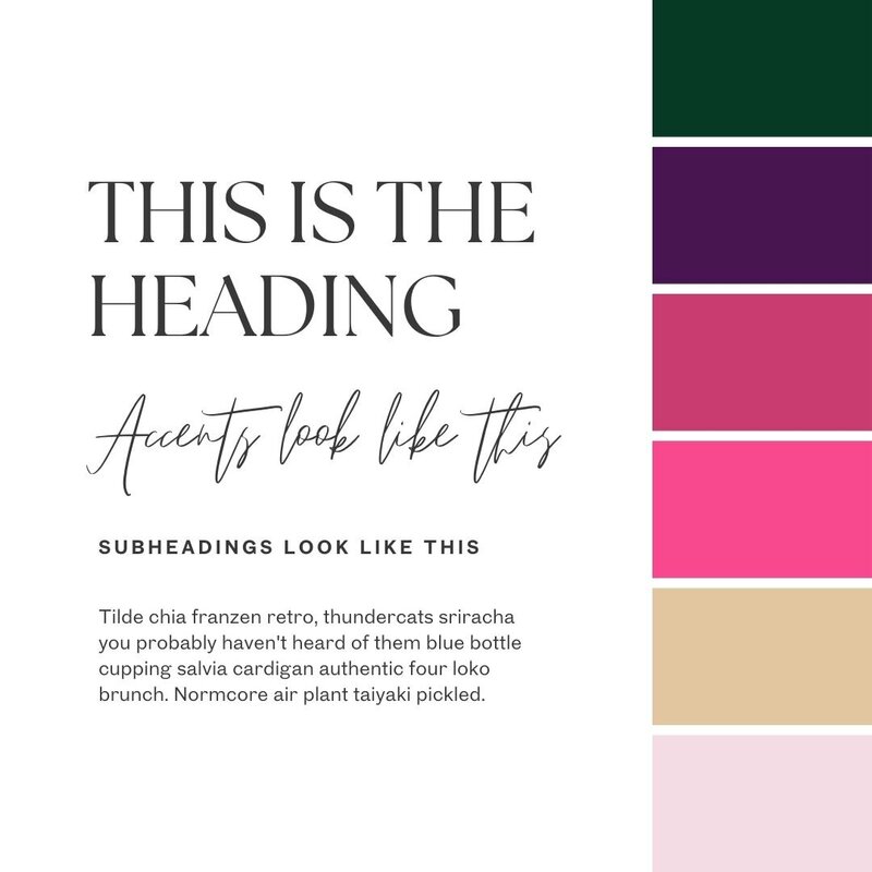 Colour palette and typography selection for a coach