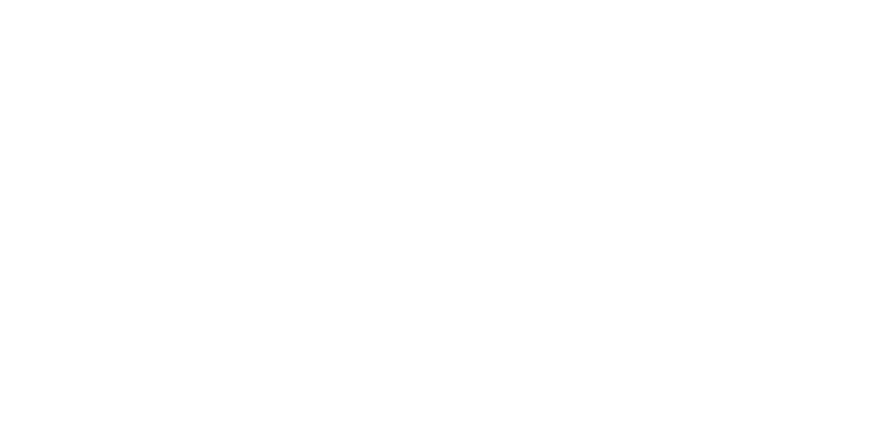 sparrow & spruce holistic brand design