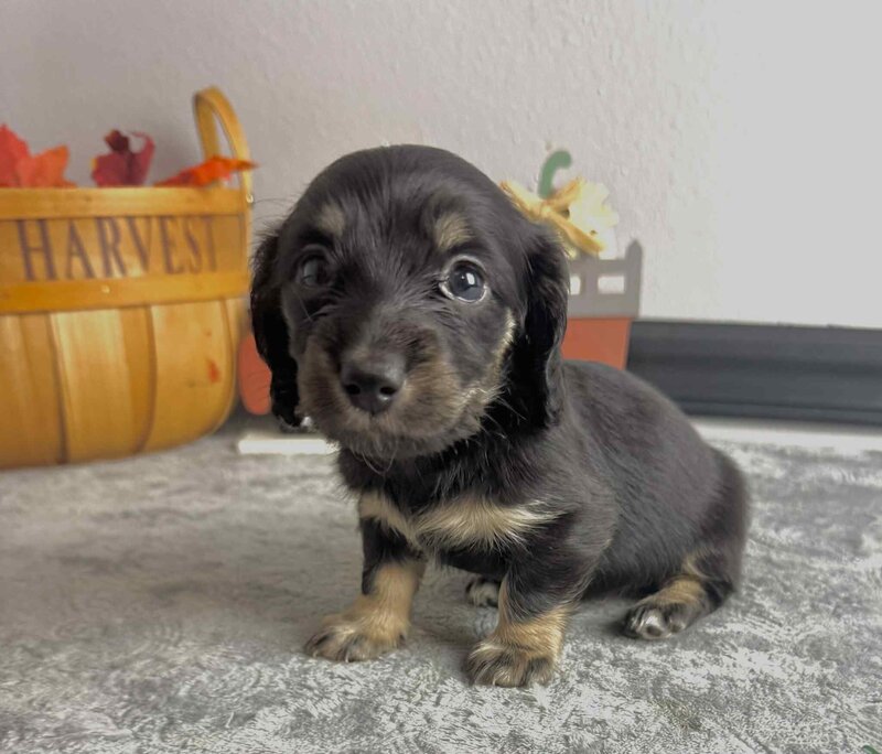 91e5fdaf-6d72-4065-a93e-8c4dfc513a31