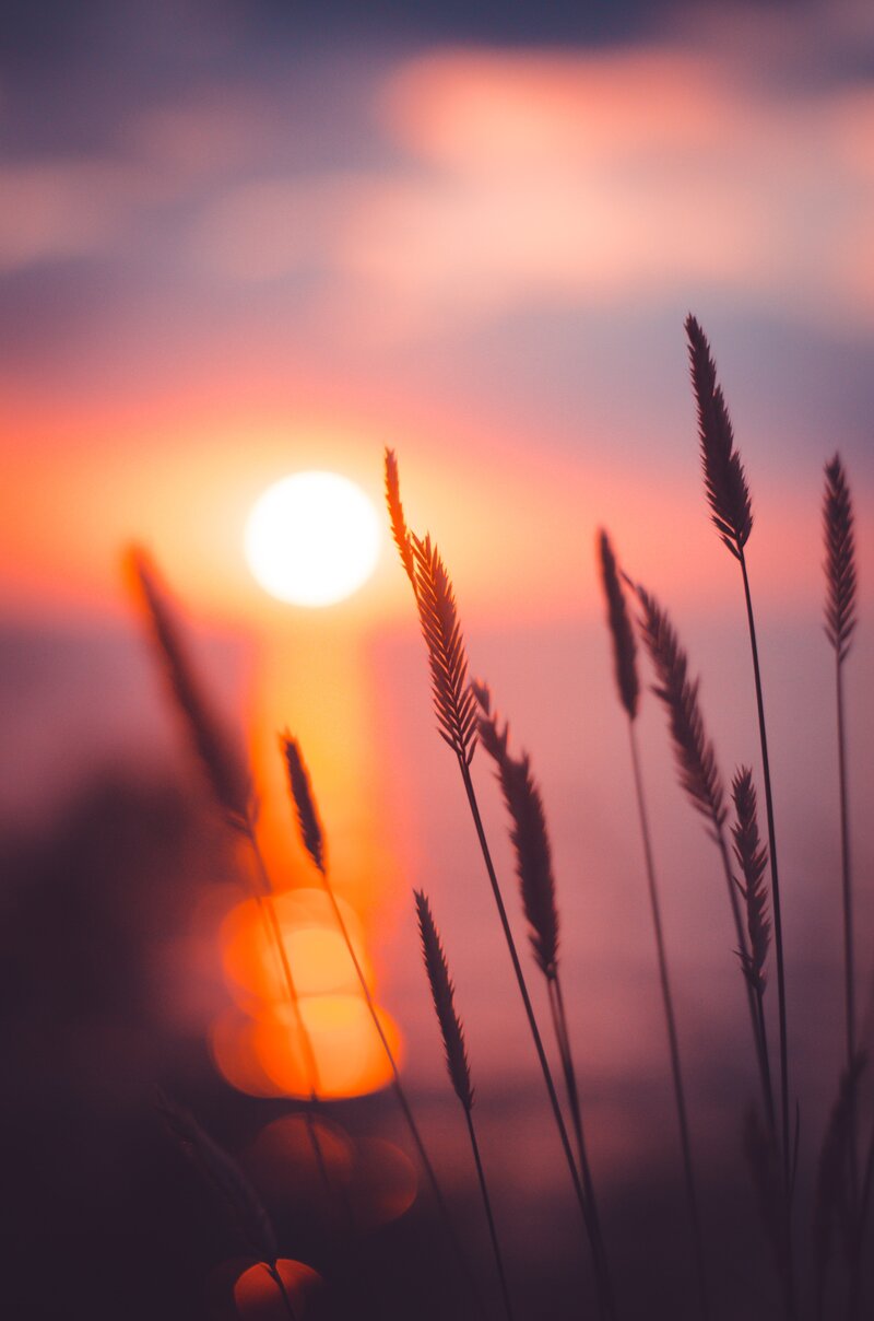 frau guckt hoch, braune haare pony, sonnenuntergang, von alten Wunden befreien, reiki coaching